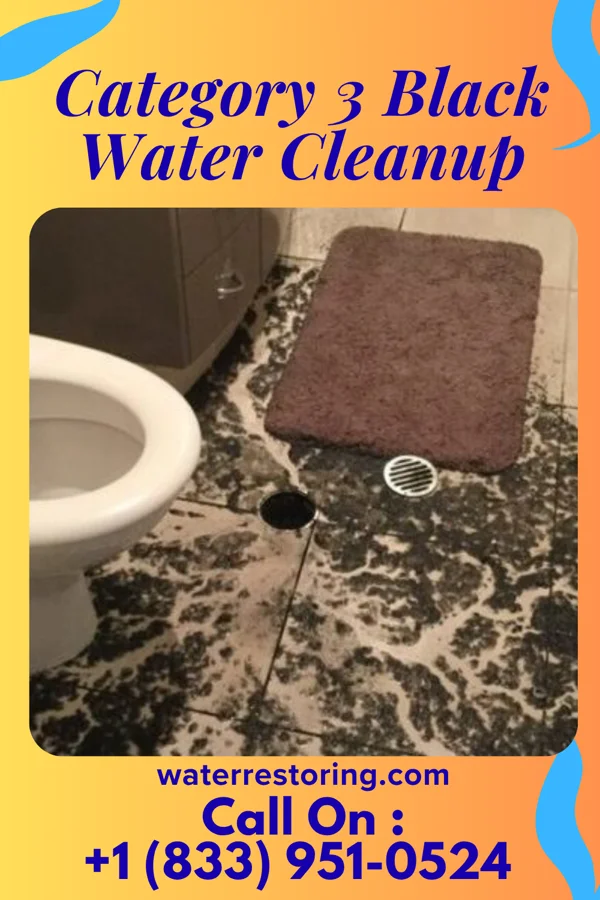 Category 3 Black Water Cleanup in Elizabethtown, PA