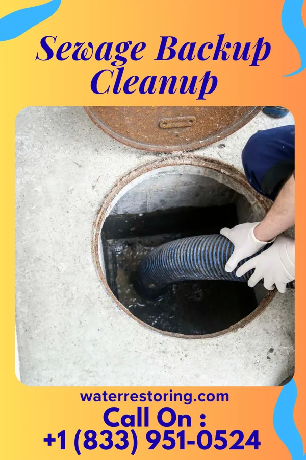Sewage Backup Cleanup in Elizabethtown, PA