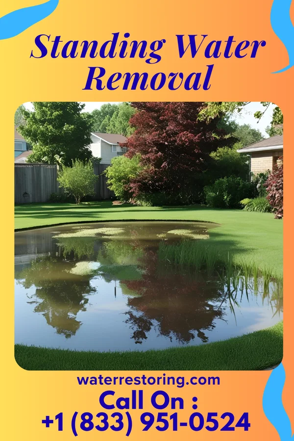Standing Water Removal in Elizabethtown, PA
